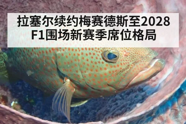 拉塞尔续约梅赛德斯至2028 F1围场新赛季席位格局